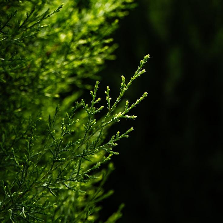 Low-impact nature route